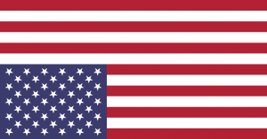 American Flag in distress
