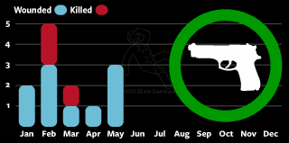 Self defense shootings and homicides | Chicago