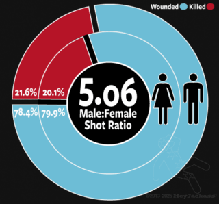 Chicago Gender of Homicide Victim
