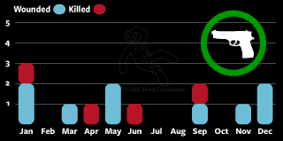 Chicago Self Defense shootings and homicides| 2025