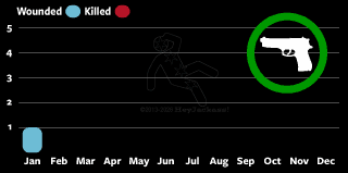 Self Defense shootings Chicago 2026